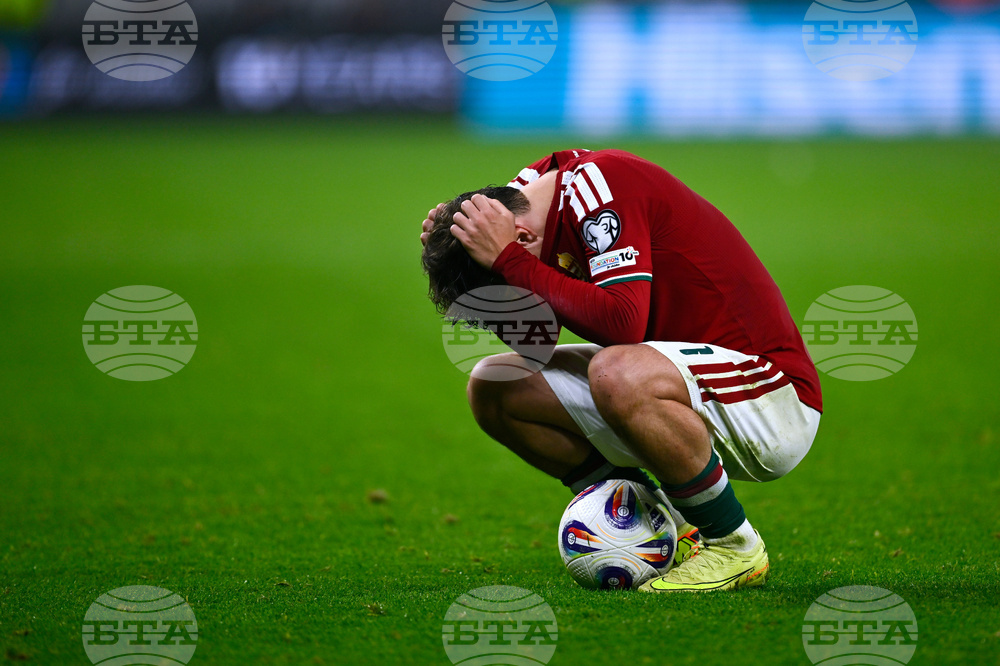 Hungary Ireland WCup Soccer