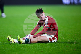 Hungary Ireland WCup Soccer