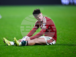 Hungary Ireland WCup Soccer