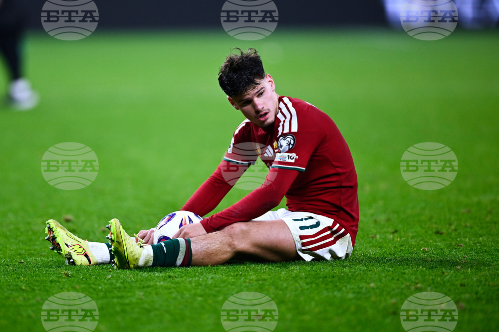 Hungary Ireland WCup Soccer