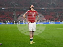 Hungary Ireland WCup Soccer