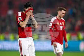 Hungary Ireland WCup Soccer