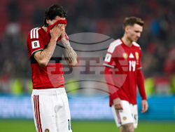 Hungary Ireland WCup Soccer