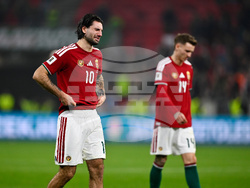 Hungary Ireland WCup Soccer