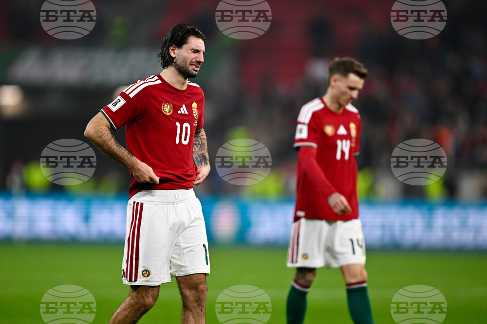 Hungary Ireland WCup Soccer