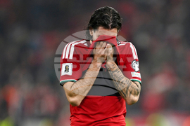 Hungary Ireland WCup Soccer