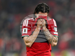 Hungary Ireland WCup Soccer