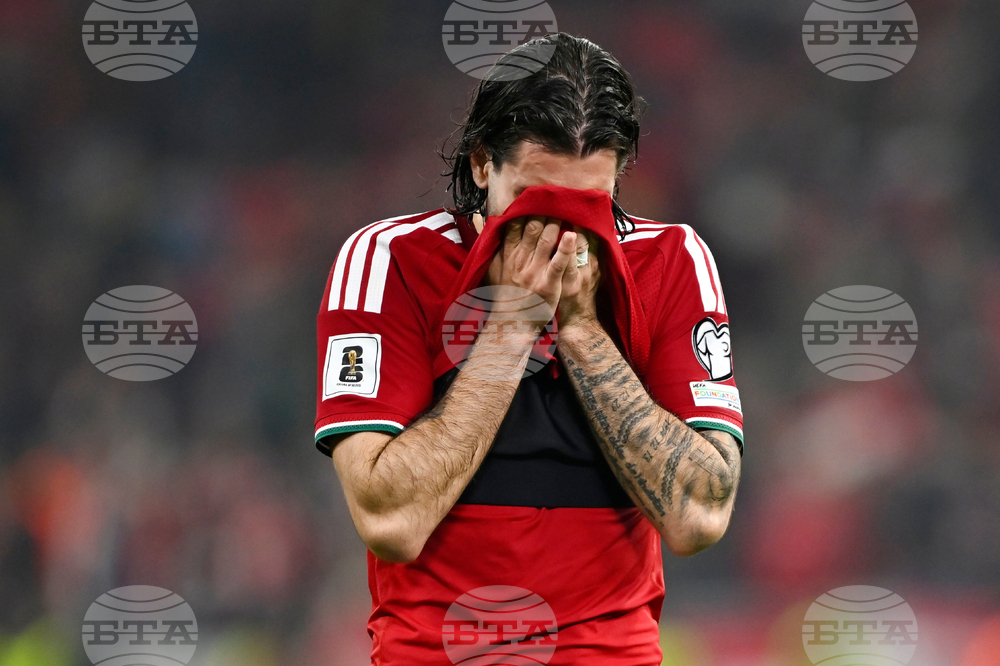 Hungary Ireland WCup Soccer