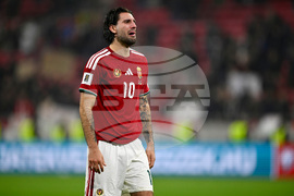 Hungary Ireland WCup Soccer