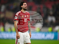 Hungary Ireland WCup Soccer