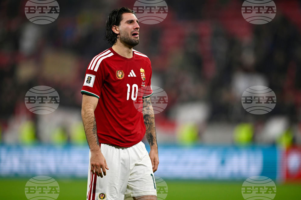 Hungary Ireland WCup Soccer