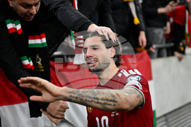 Hungary Ireland WCup Soccer