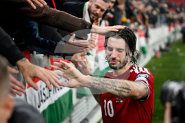 Hungary Ireland WCup Soccer