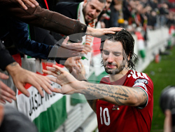 Hungary Ireland WCup Soccer