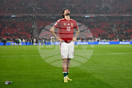 APTOPIX Hungary Ireland WCup Soccer