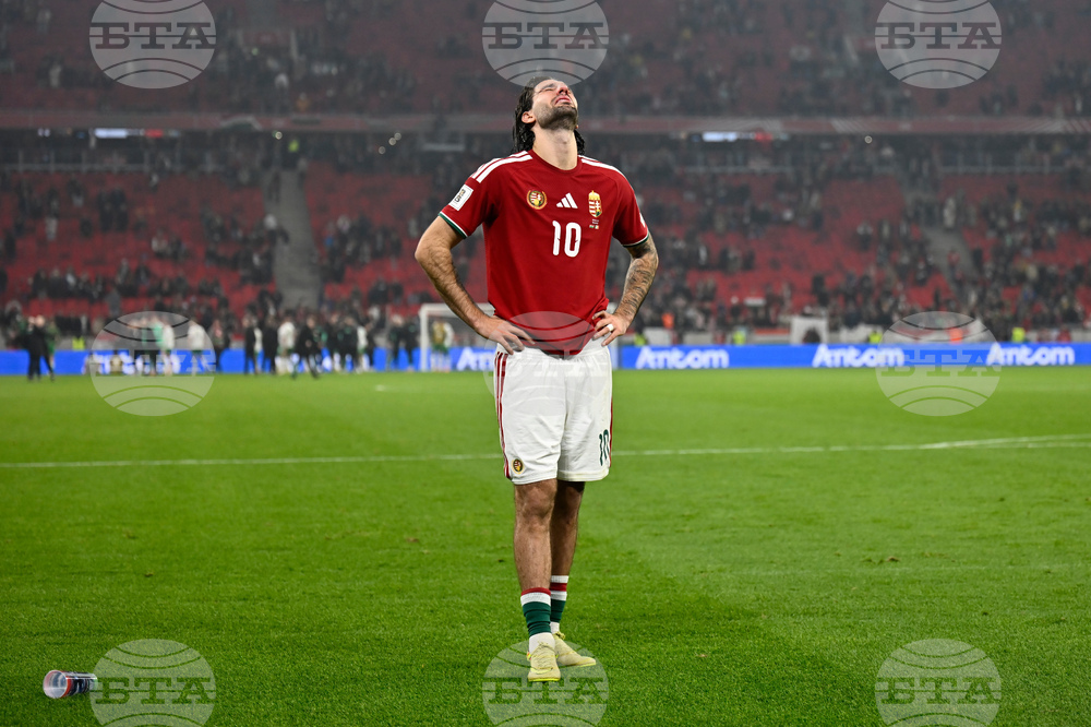 APTOPIX Hungary Ireland WCup Soccer