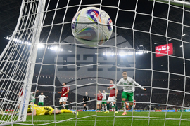 APTOPIX Hungary Ireland WCup Soccer