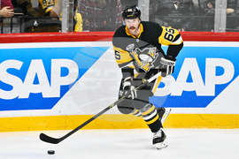 Sweden Predators Penguins Hockey