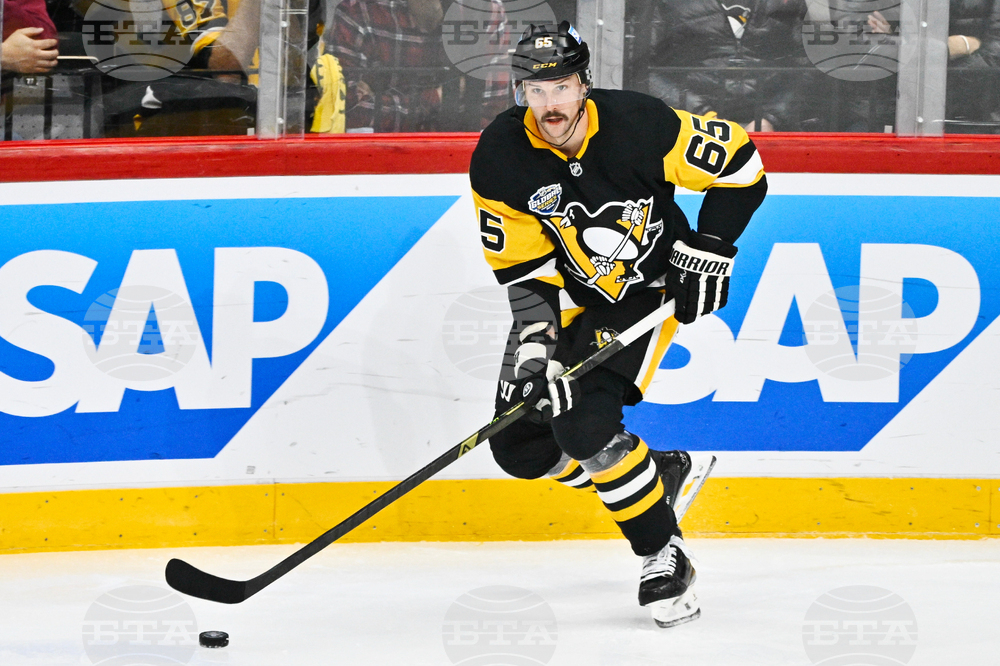 Sweden Predators Penguins Hockey