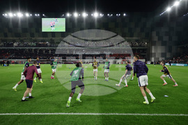 Albania England WCup Soccer