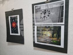 Ямбол - „Младежки фотоконкурс 777” - награждаване