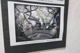 Ямбол - „Младежки фотоконкурс 777” - награждаване