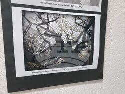 Ямбол - „Младежки фотоконкурс 777” - награждаване