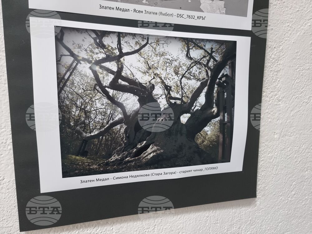 Ямбол - „Младежки фотоконкурс 777” - награждаване