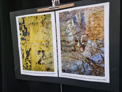 Ямбол - „Младежки фотоконкурс 777” - награждаване