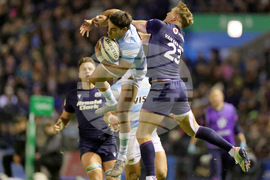 Scotland Argentina Rugby