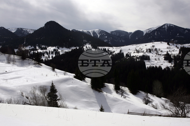 Широка лъка