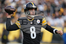 Bengals Steelers Football