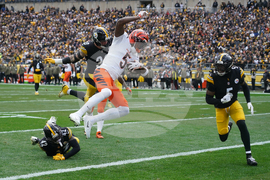 Bengals Steelers Football