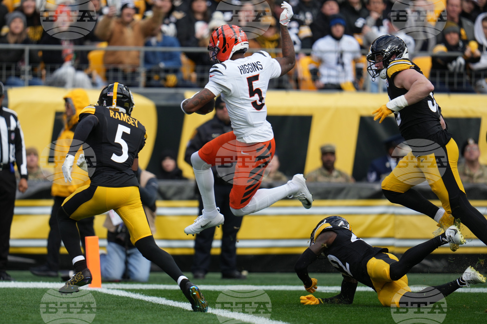 Bengals Steelers Football