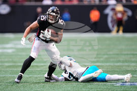 Panthers Falcons Football