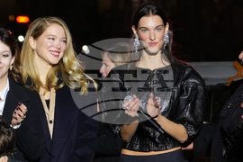 France Champs Elysees Lighting