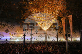 France Champs Elysees Lighting