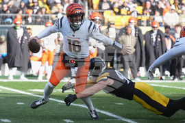 Bengals Steelers Football