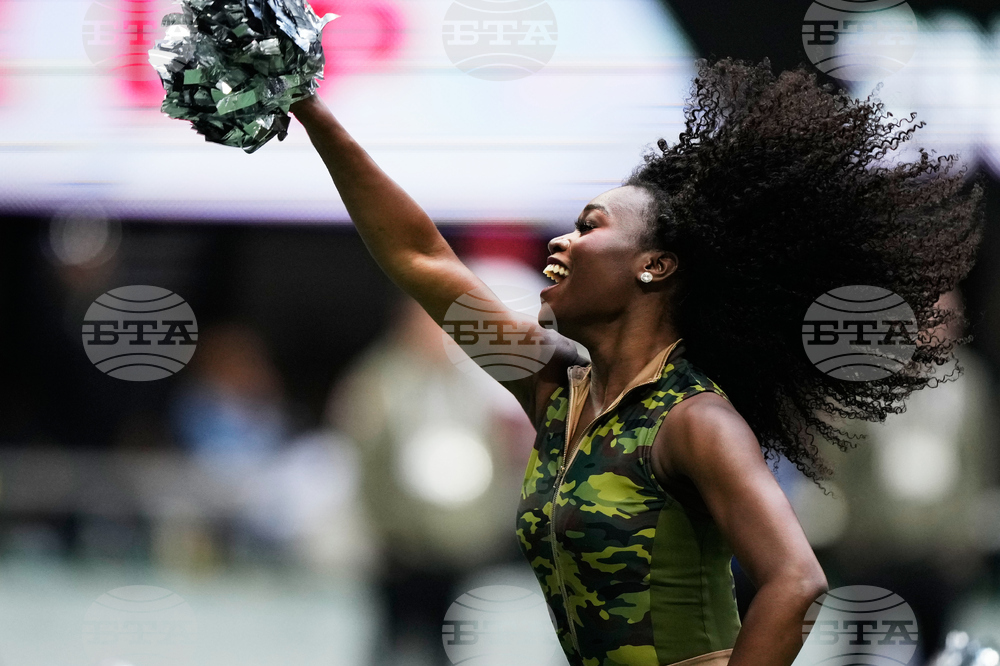 Panthers Falcons Football