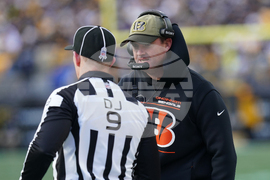 Bengals Steelers Football