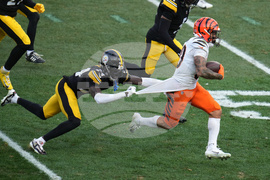 Bengals Steelers Football