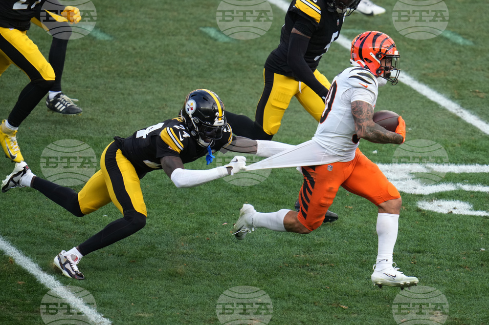 APTOPIX Bengals Steelers Football
