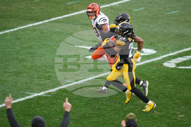 Bengals Steelers Football