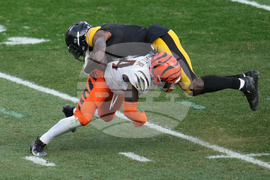 Bengals Steelers Football