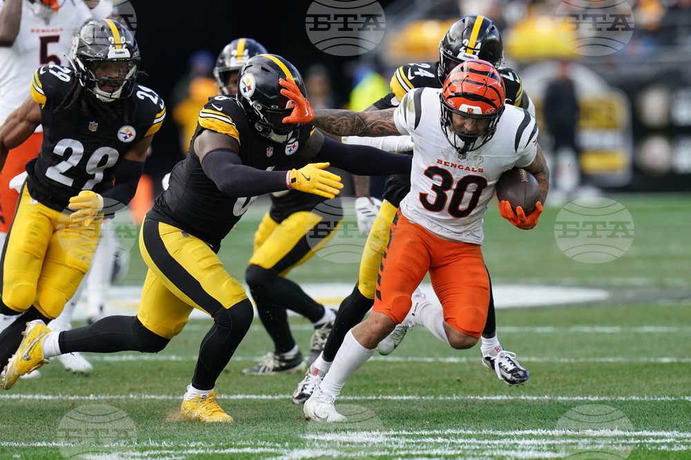 Bengals Steelers Football