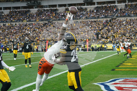 Bengals Steelers Football