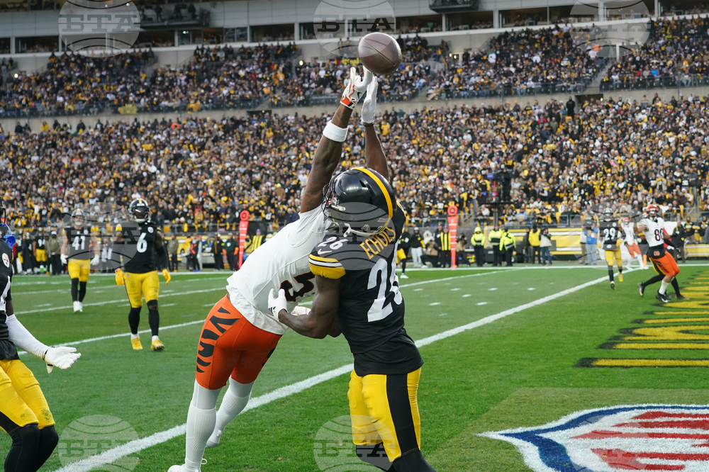 Bengals Steelers Football