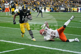 Bengals Steelers Football