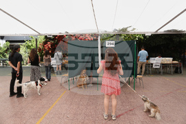 APTOPIX Chile Election