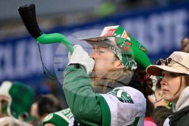 CFL Grey Cup Football